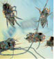 pollen, dust mites, dirt, pet dander