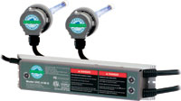 Dual Lights