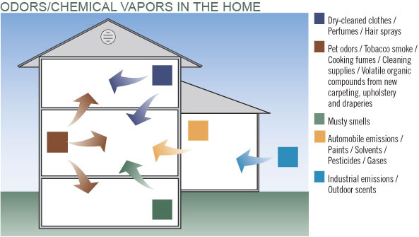Odors/Chemical Vapors in the Home diagram